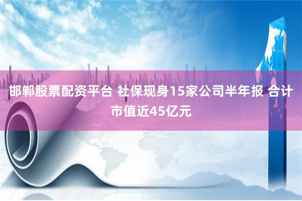 邯郸股票配资平台 社保现身15家公司半年报 合计市值近45亿元