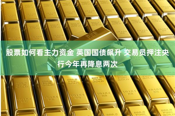 股票如何看主力资金 英国国债飙升 交易员押注央行今年再降息两次