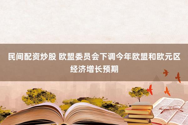 民间配资炒股 欧盟委员会下调今年欧盟和欧元区经济增长预期