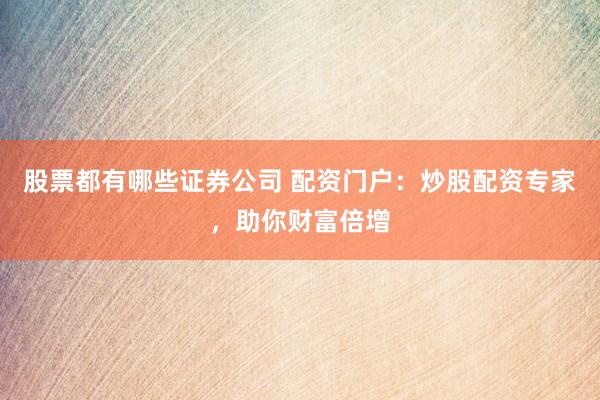 股票都有哪些证券公司 配资门户：炒股配资专家，助你财富倍增